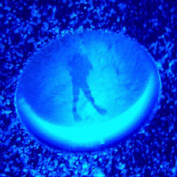 Catching my own reflection in my dive buddy's bubbles. by Andrew Macleod 